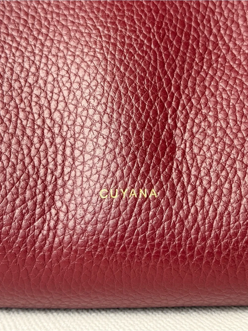 Cuyana Mini Easy Zipper Tote Bag in Cherry - Picture 2 of 6